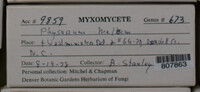 Image Associated With the Occurence